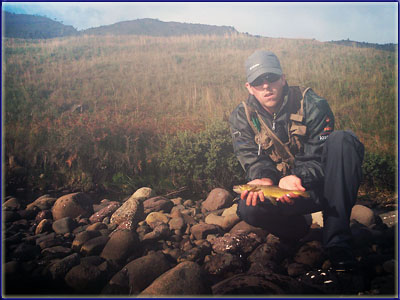 Warren With A Bigger Brown
