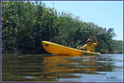Warren Prior Paddling An Estuary