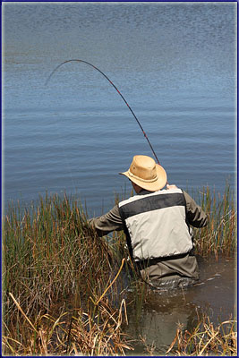 Warren Freeing A Fish From The Reeds