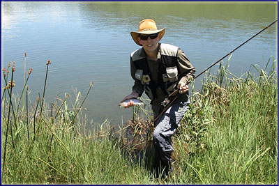 A Small Kamberg Rainbow Trout