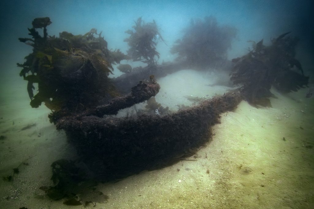 A small wreck